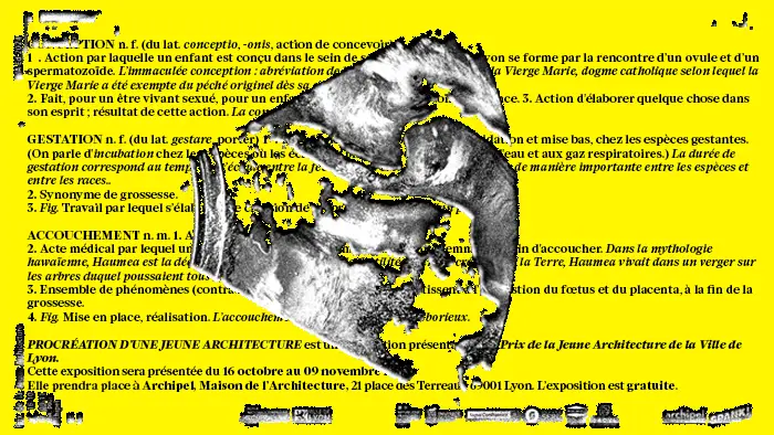 procreation jeune architecture p